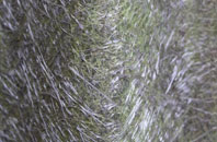 Avon fibreglass roof work